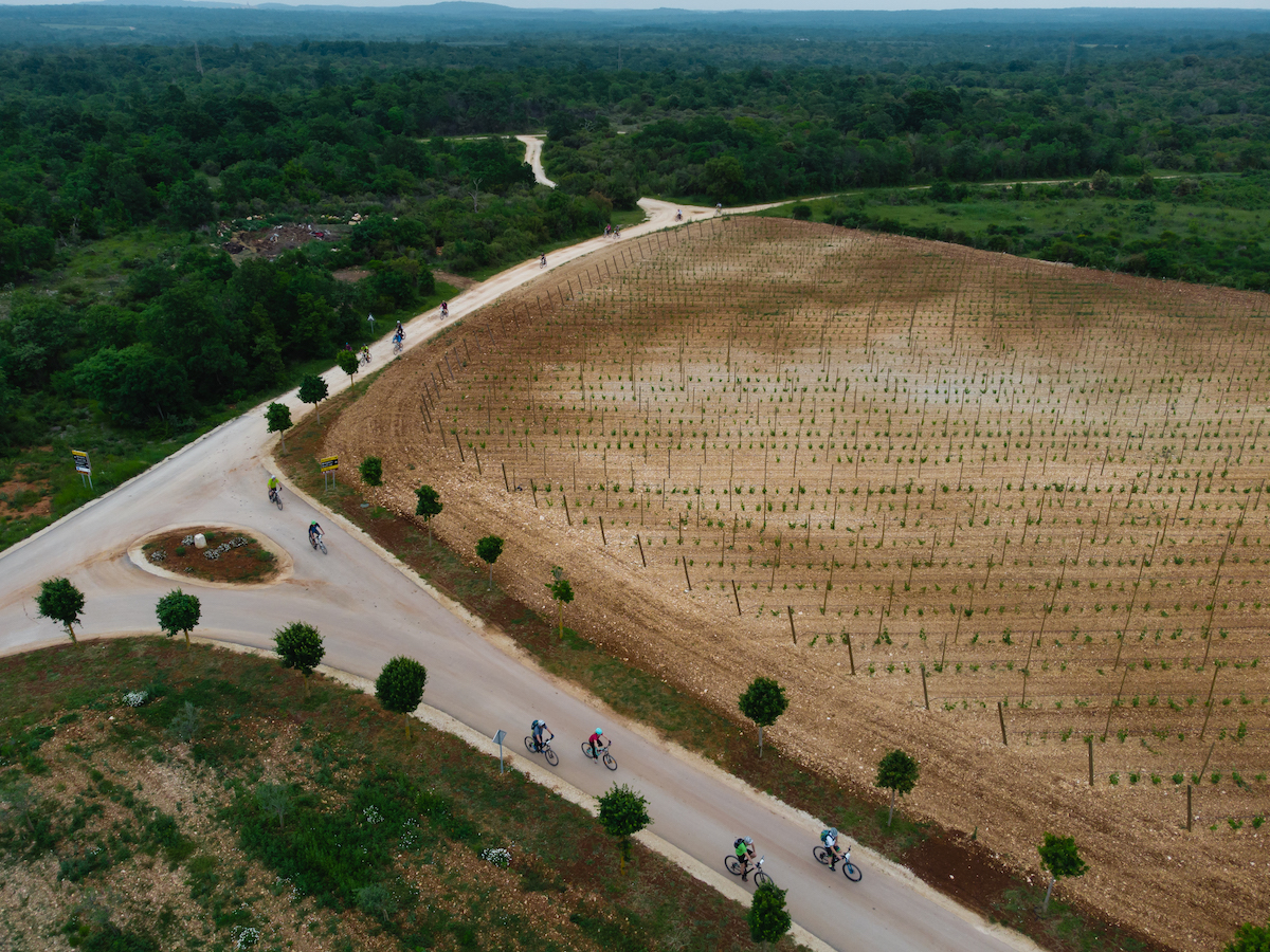 Bike — Istria